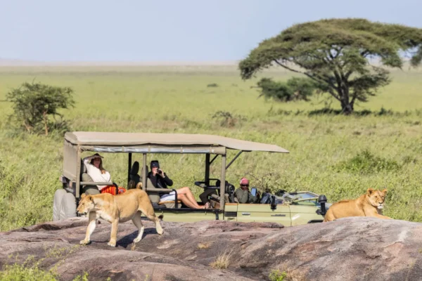 10-day-kenya-adventure-safari
