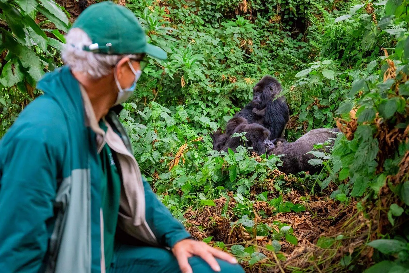 4-Day Rwanda Tracking Gorillas and Chimps Tour