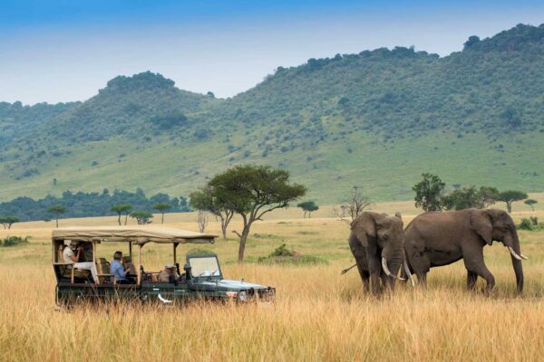 6-Day Magnificent Best of Kenya Safari