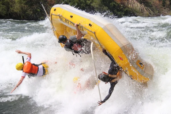 6-Day Uganda Gorilla & White-Water Rafting Tour