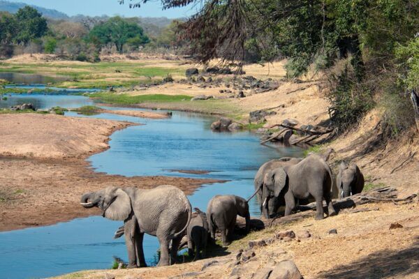 Ruaha