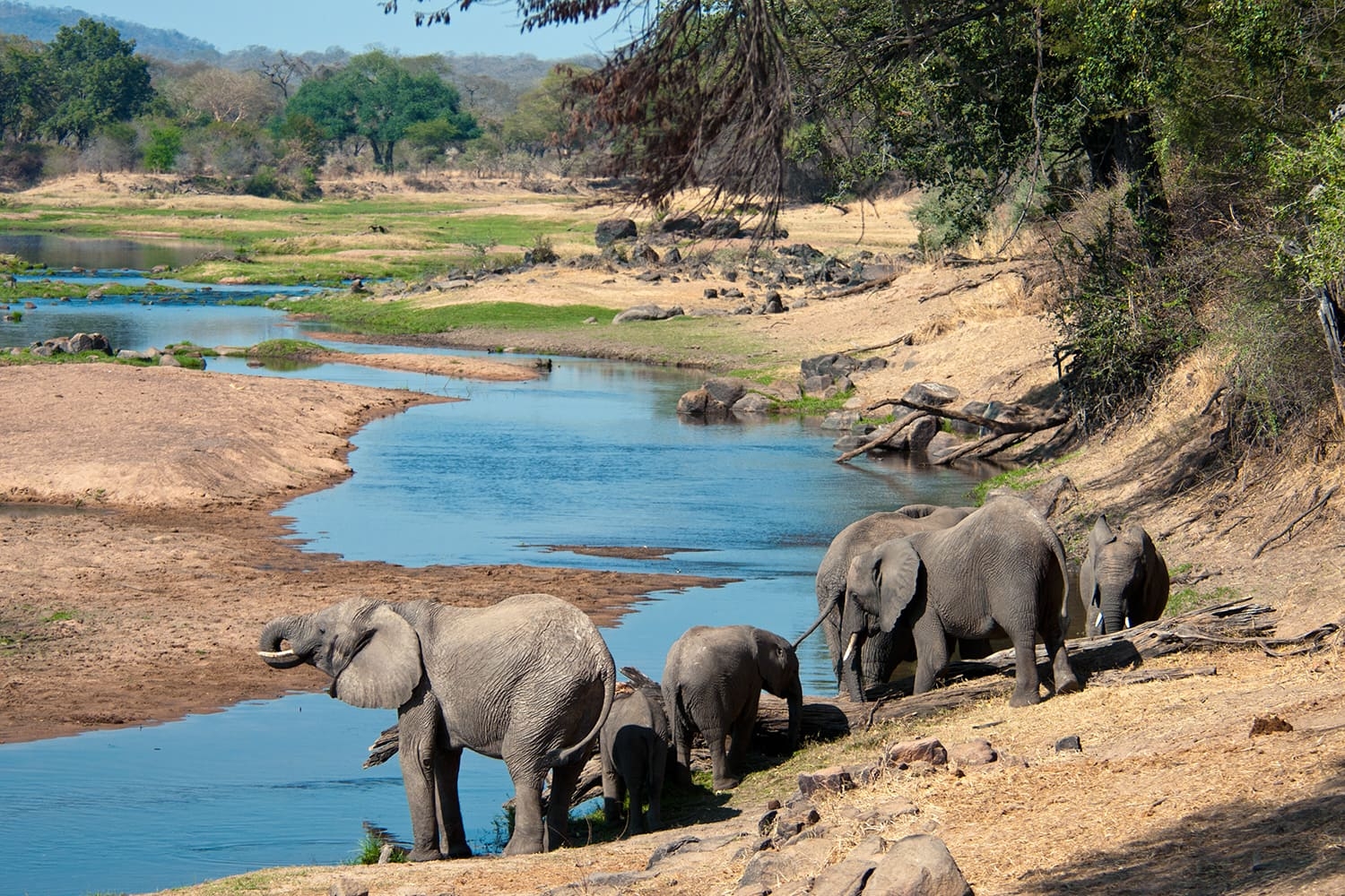 Ruaha