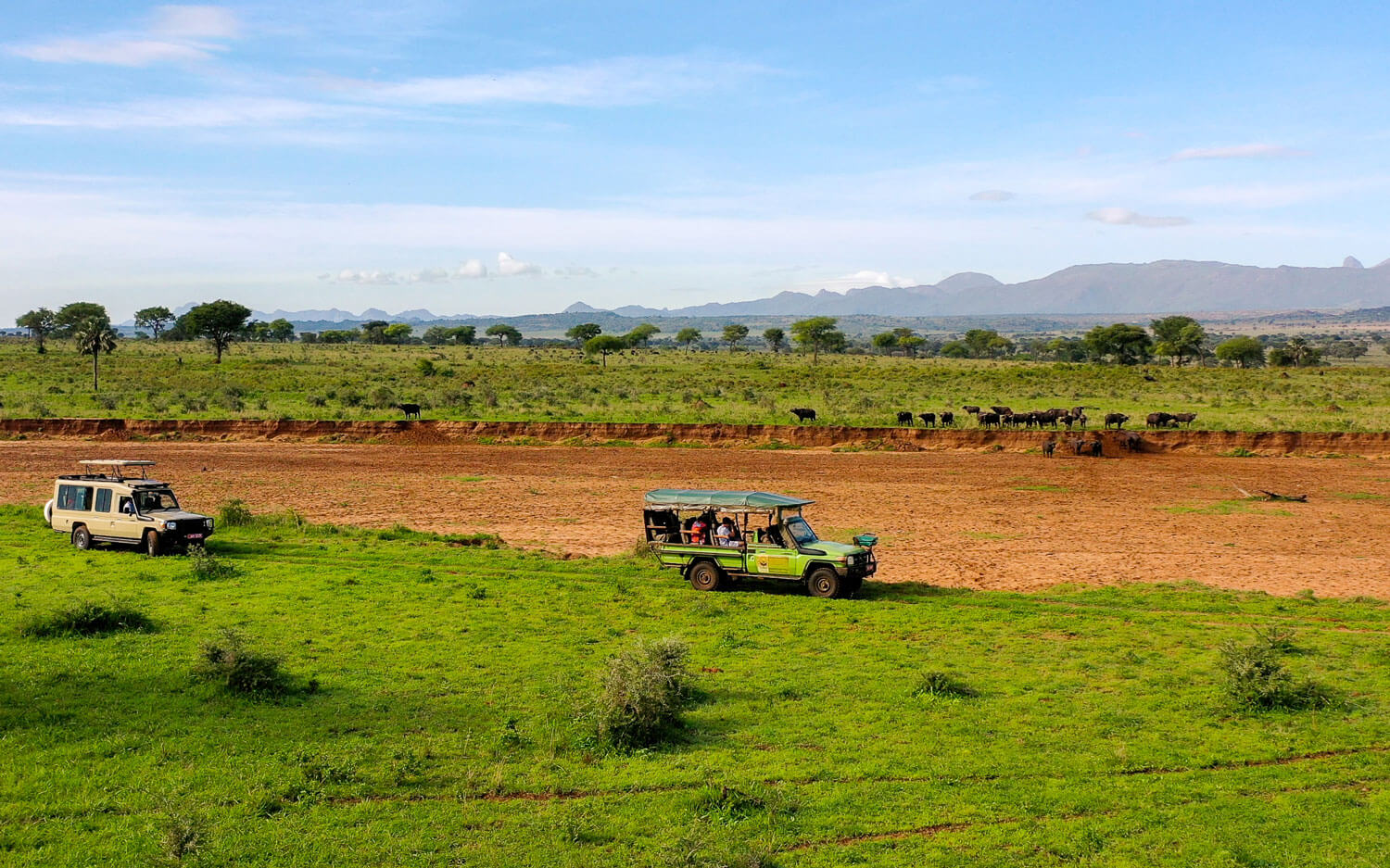 Experience-Uganda-Safari