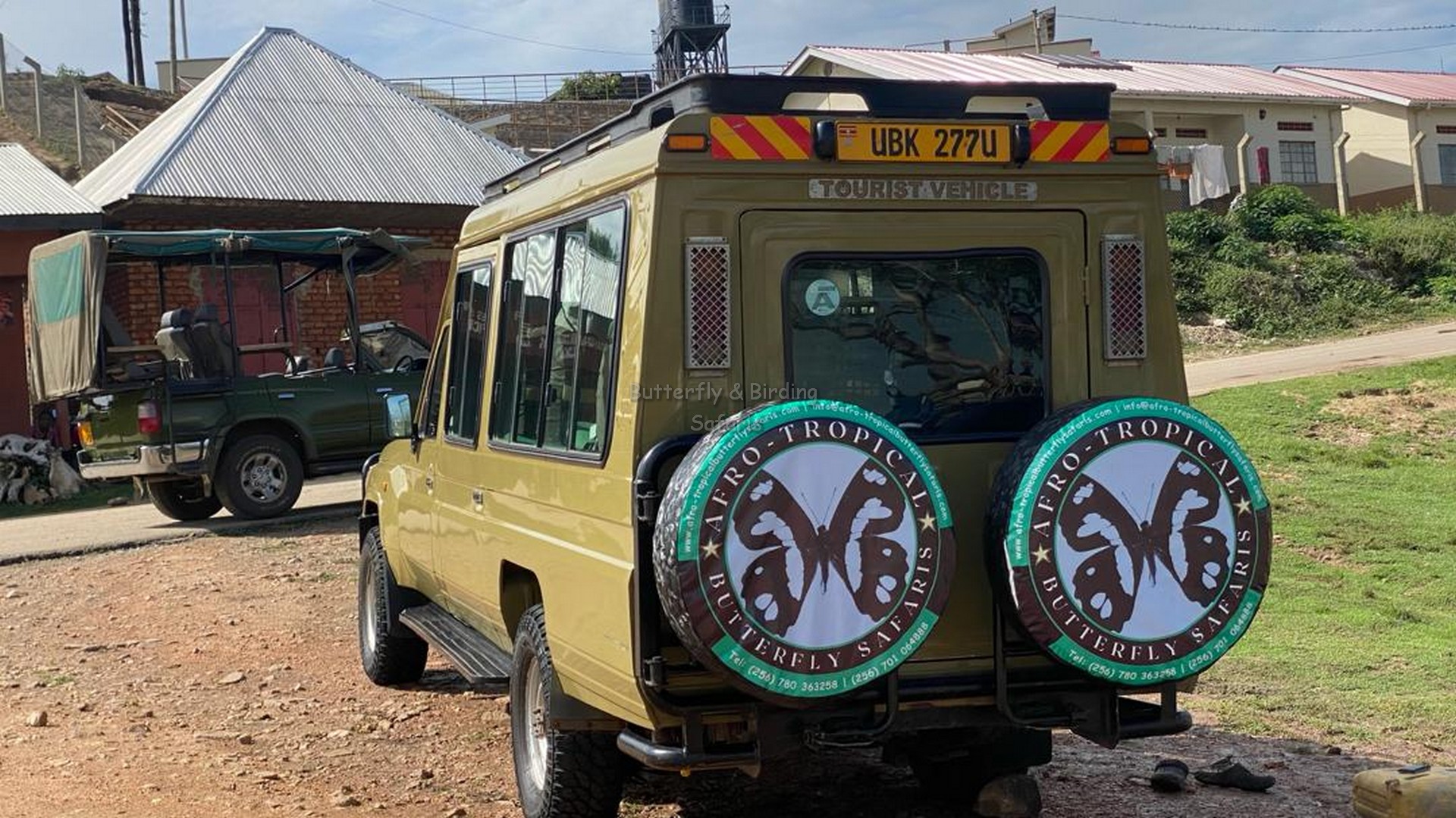 Game Drive Safari Adventures