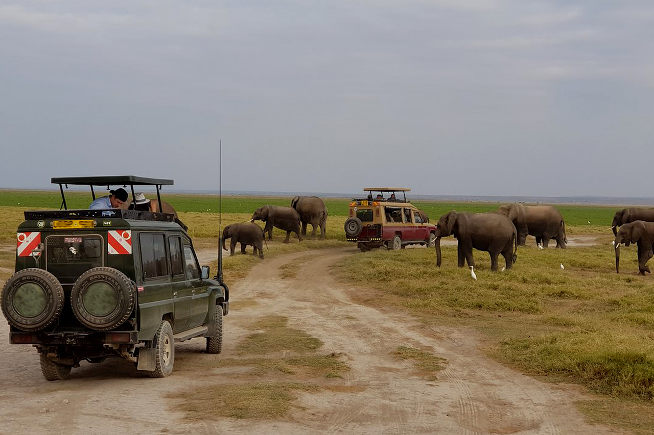 Kenya Safari Experiences