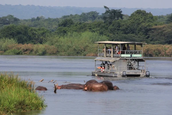 3 Days Murchison Falls Big Five Safari