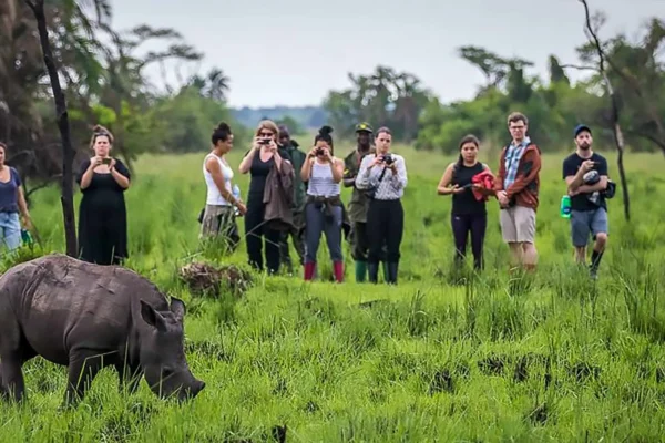Uganda Wildlife Safaris