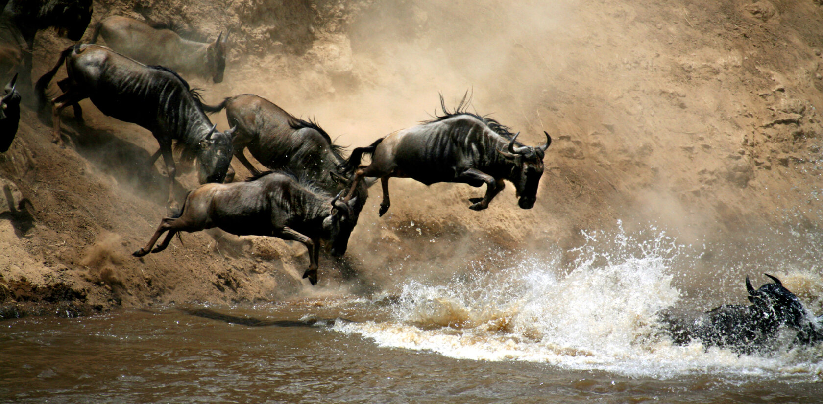 Kenya Safari