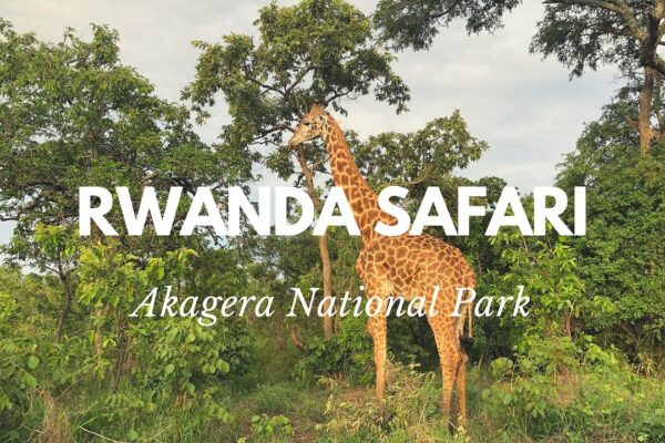 Akagera National Park Rwanda