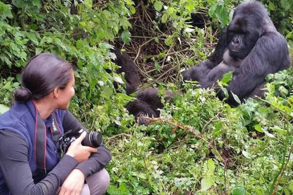 Gorilla Trekking