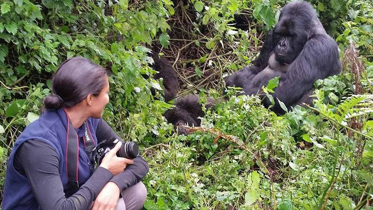 Gorilla Trekking
