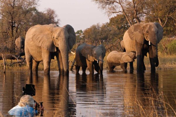 Kibira National Park