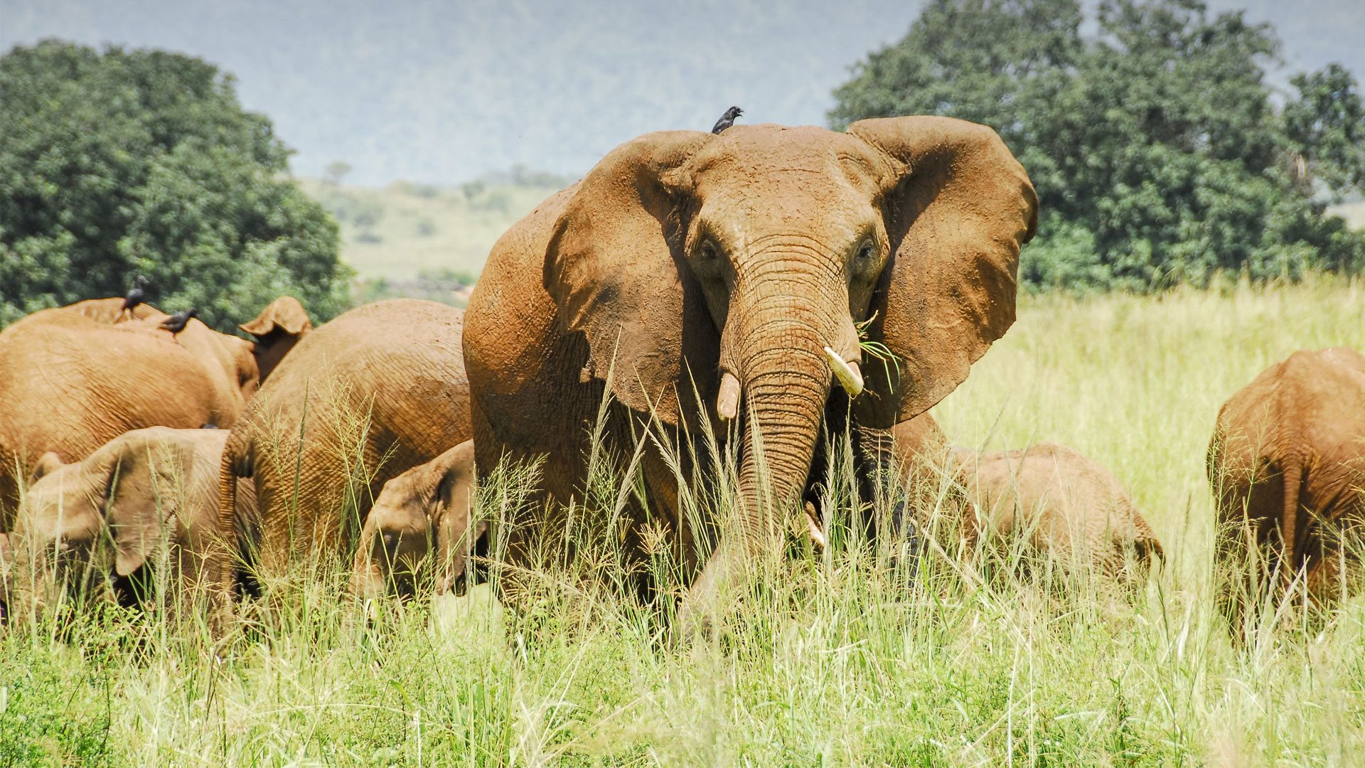 Kidepo Valley National Park.