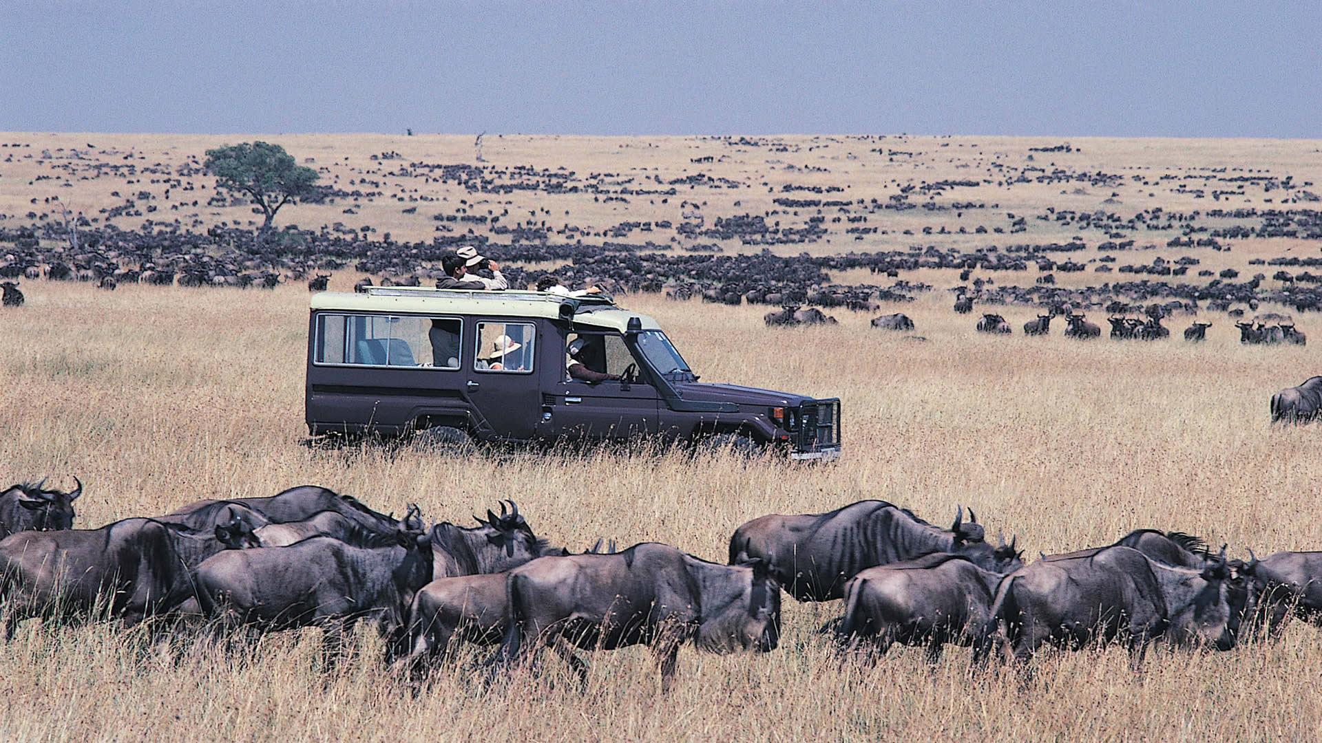 Maasai-Mara-National-Reserve-1