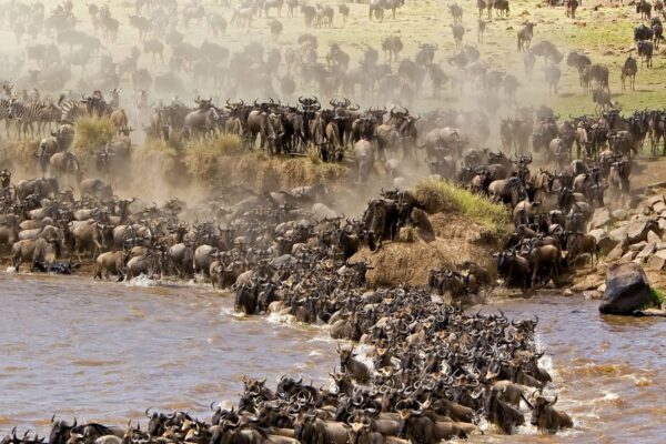 Masai Mara National Reserve,