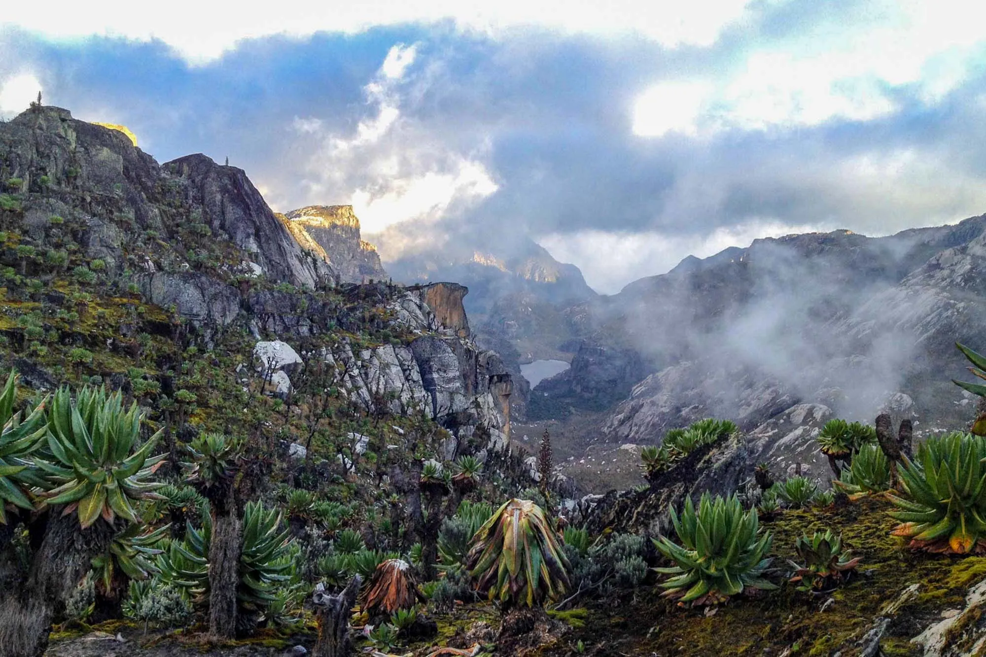 Mt Rwenzori National Park