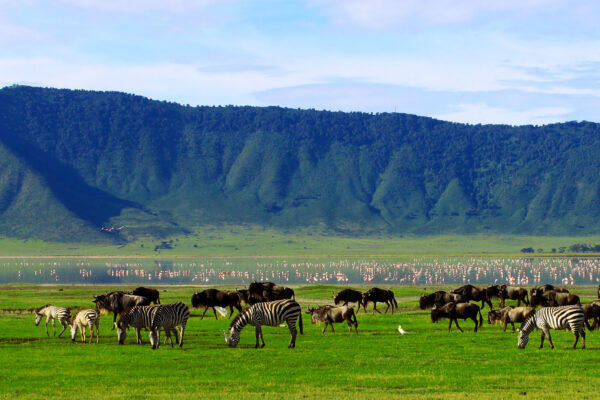 Ngorongoro Conservation Area
