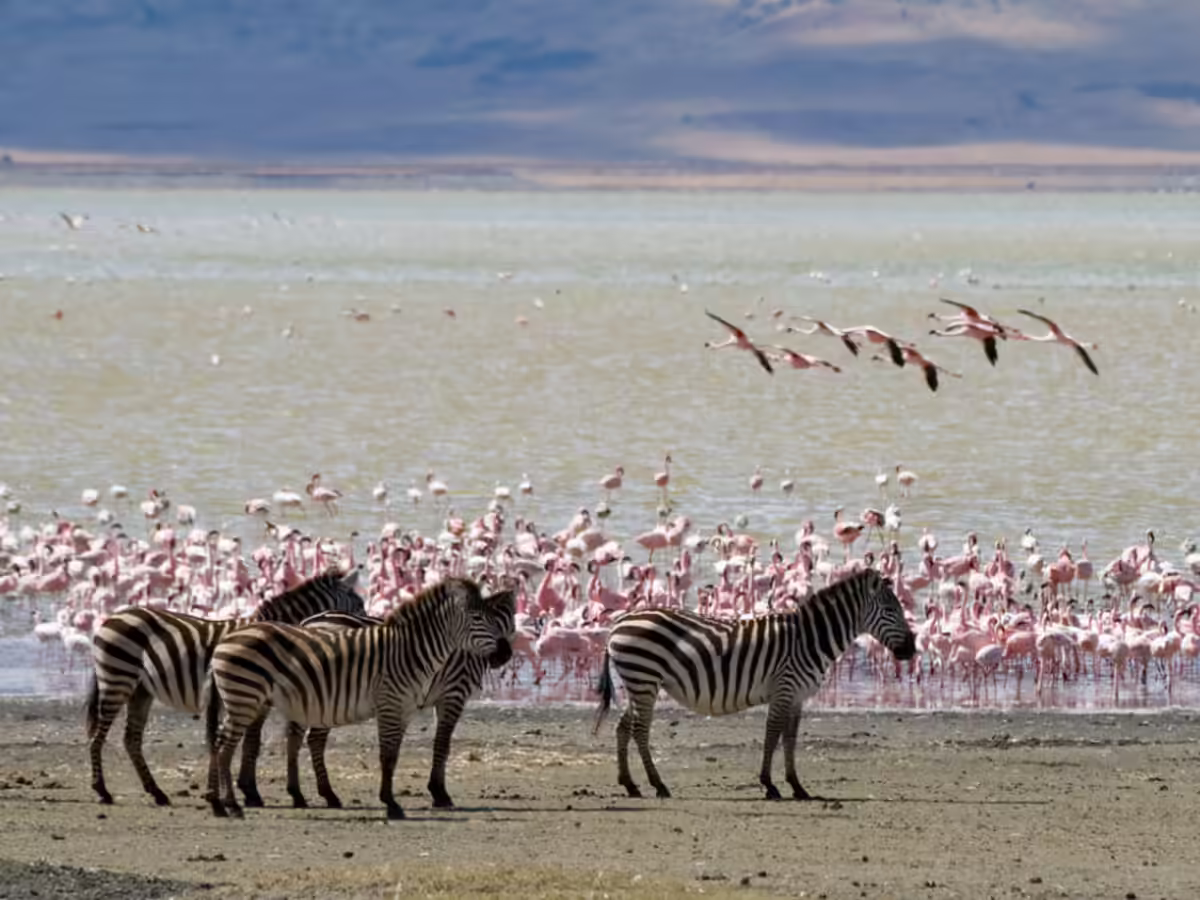 lake-manyara-