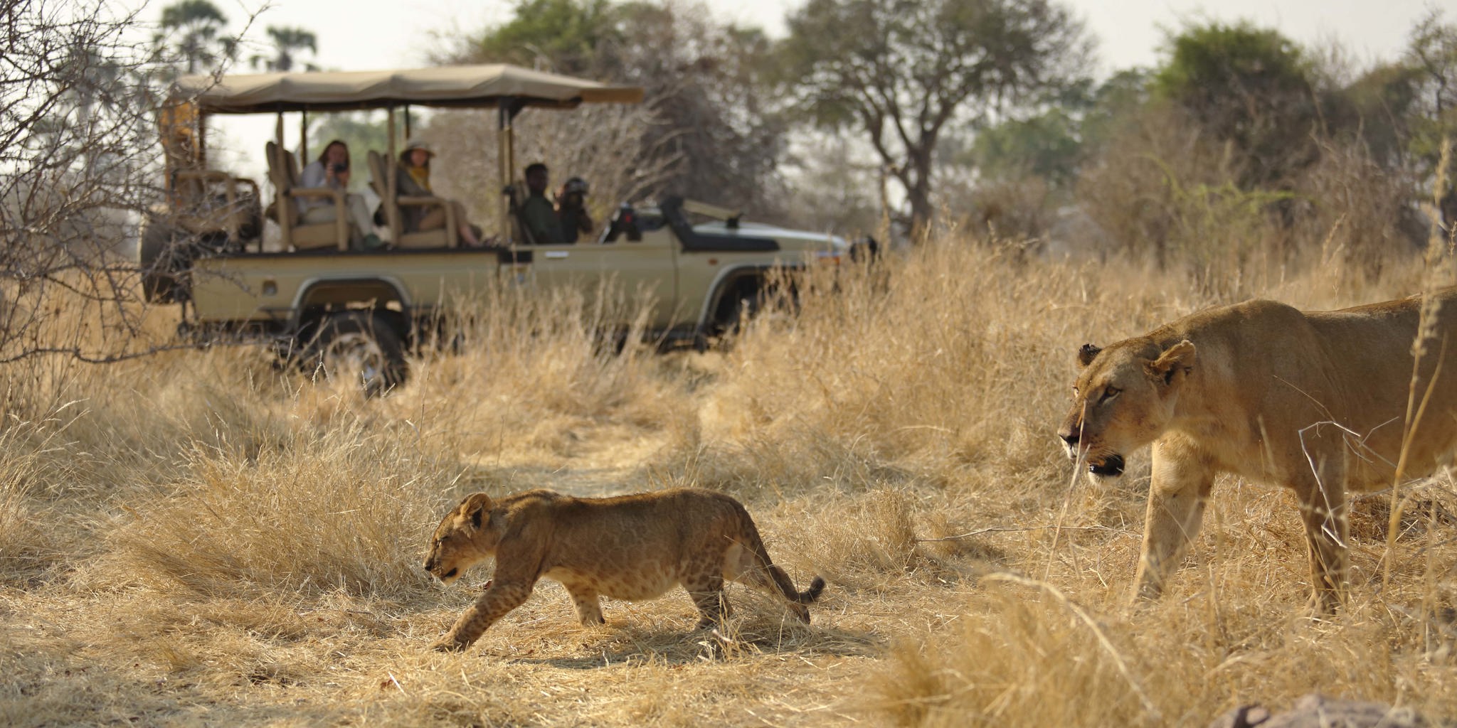 Ruaha-national-park