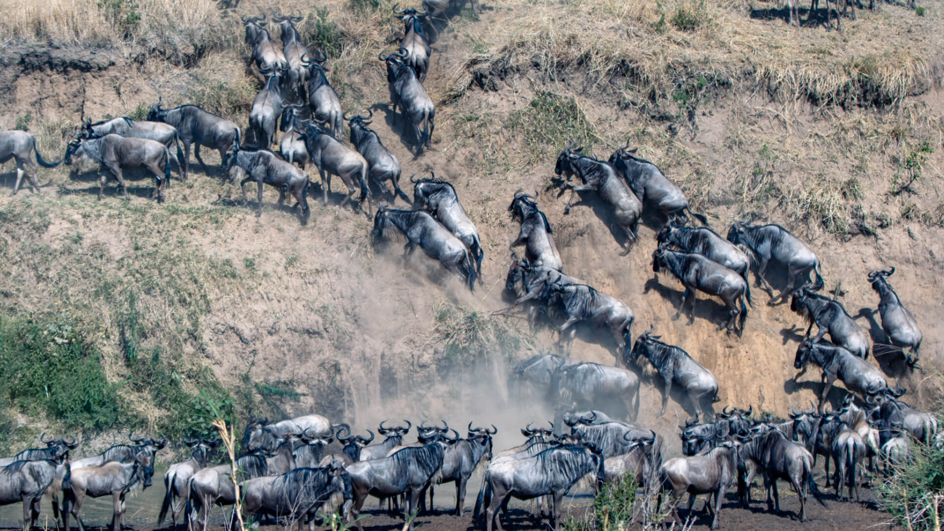 Great Migration