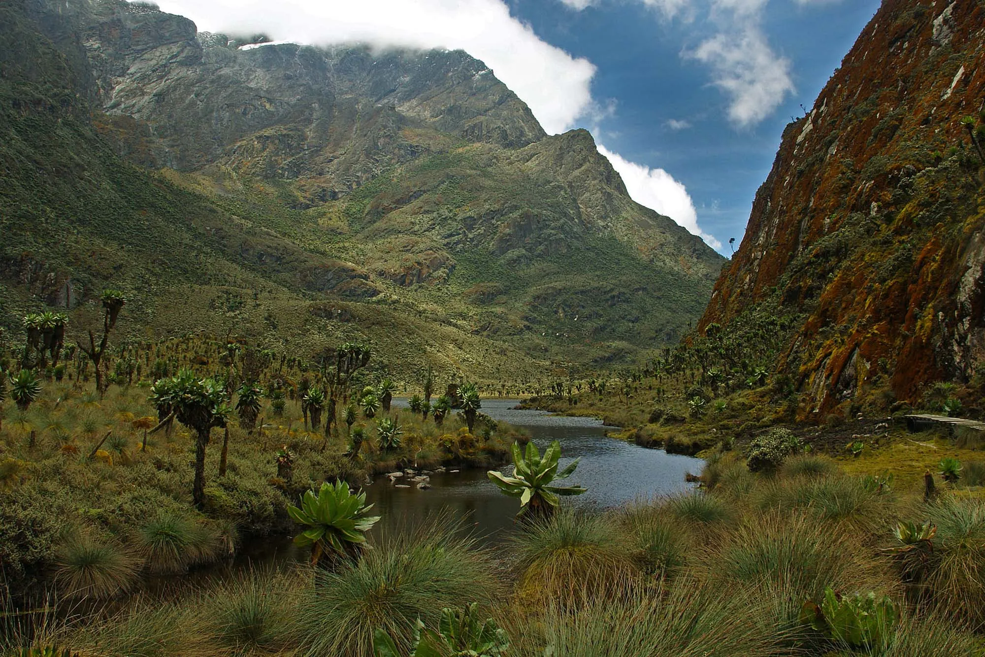 Mt Rwenzori National Park