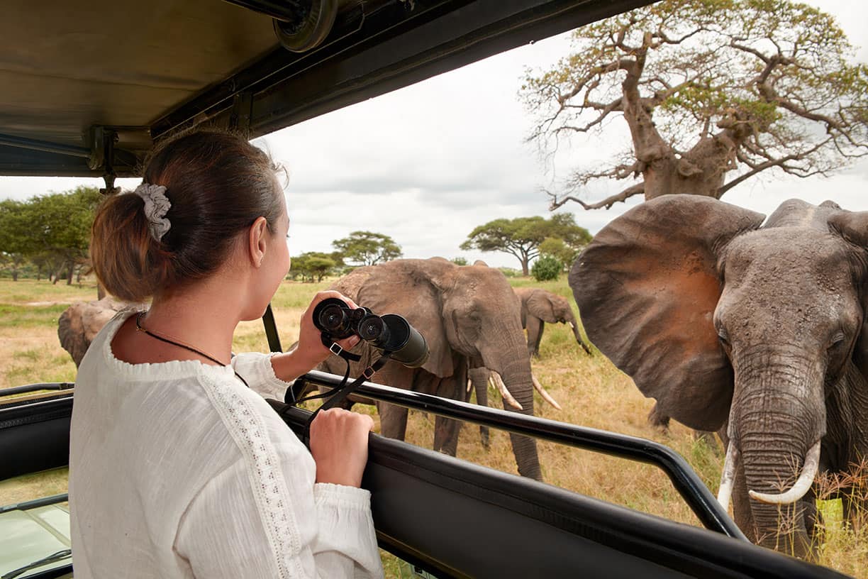 Tanzania Safari Experience