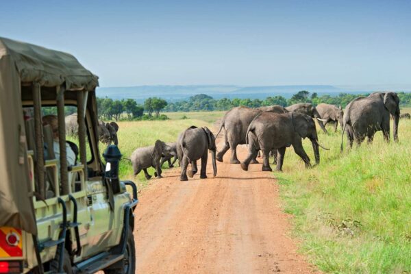 Uganda Big Five Safari