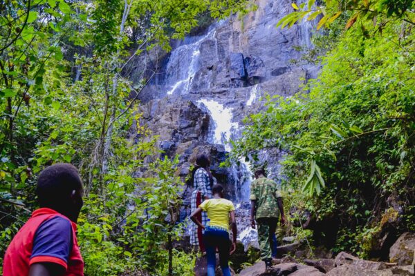 Vyanda Forest Nature Reserve