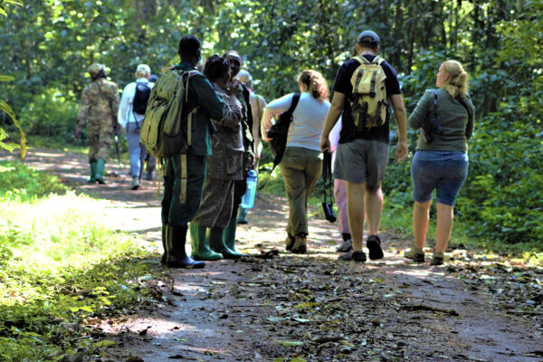 Walking Adventure
