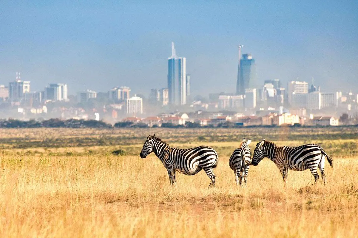 Nairobi-national-park