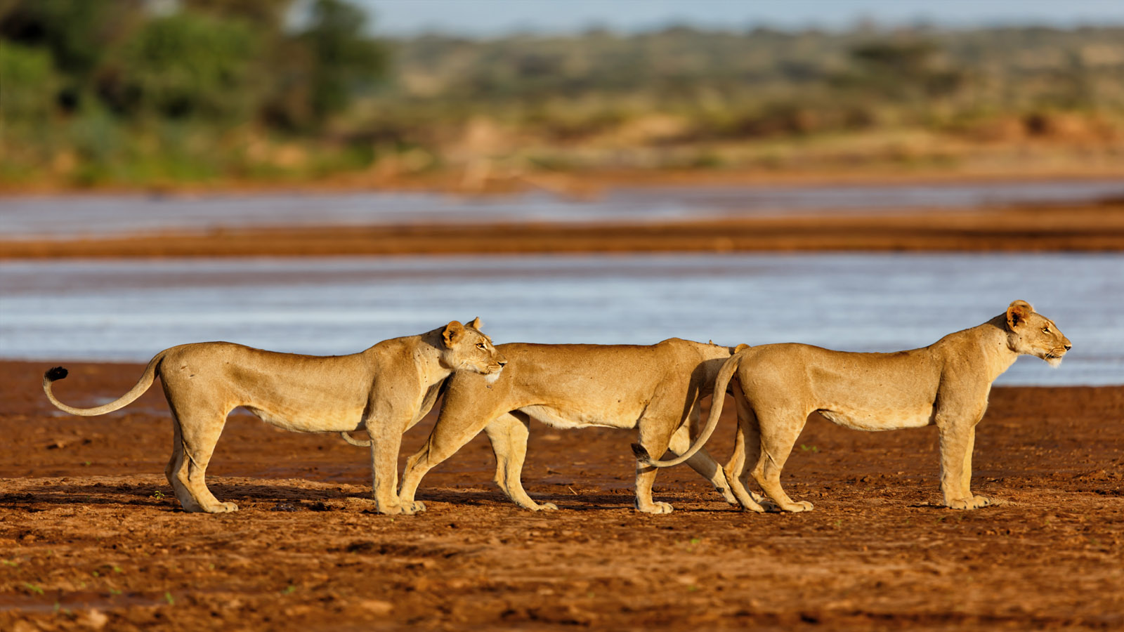 Samburu National Reserve